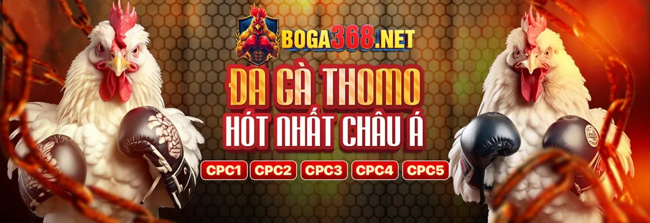 Game Shows Trực Tiếp